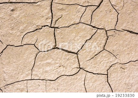 details of a dried cracked seabed details of a dried cracked seabed 19233830