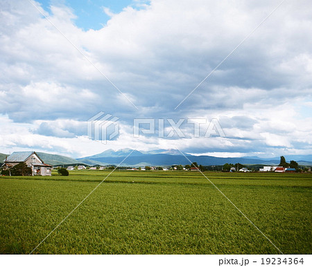 東川町より旭岳 19234364
