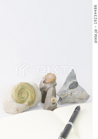 化石とノート 19234486