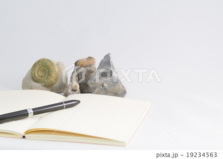化石とノート 19234563