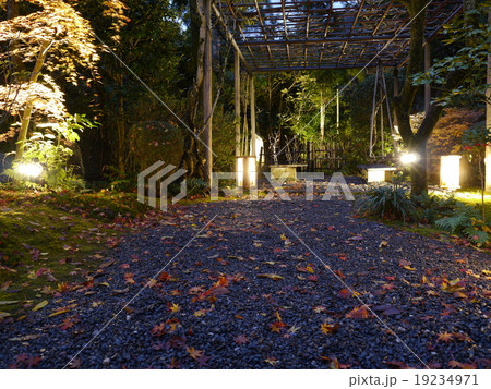 落柿舎のライトアップ 19234971