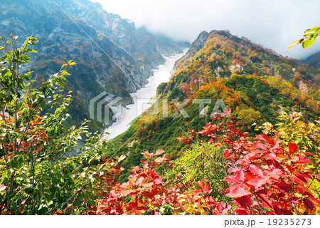 仙人峠より三ノ窓雪渓 仙人峠より三ノ窓雪渓 19235273