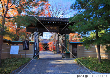 九品仏浄真寺　東門　紅葉 19235483