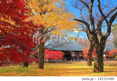 九品仏浄真寺　三仏堂　紅葉 19235489