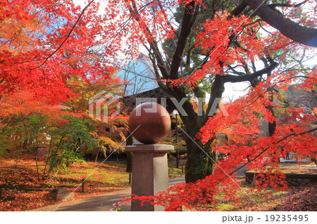 九品仏浄真寺 紅葉 九品仏浄真寺 紅葉 19235495