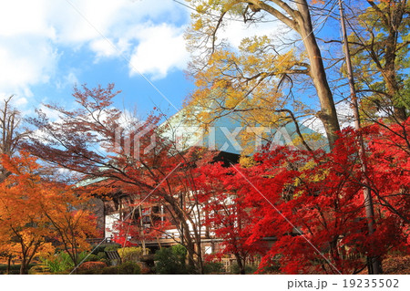 九品仏浄真寺　本堂　紅葉 19235502