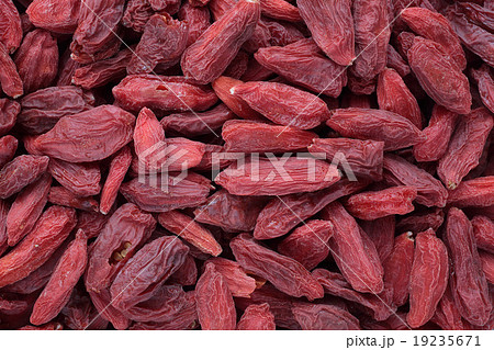 Goji berries, a fruit berry and medicinal plant Goji berries, a fruit berry and medicinal plant 19235671