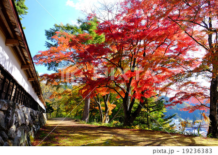 福満虚空蔵菩薩圓蔵寺の紅葉 19236383