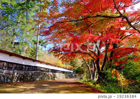 福満虚空蔵菩薩圓蔵寺の紅葉 福満虚空蔵菩薩圓蔵寺の紅葉 19236384