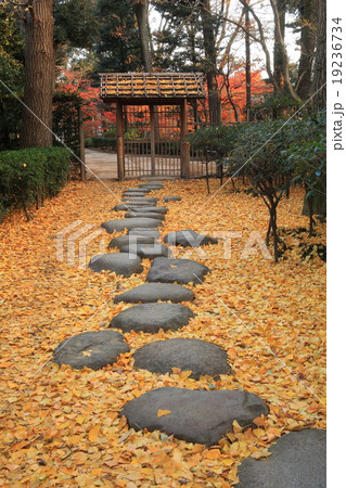 大田黒公園庭門 紅葉 大田黒公園庭門 紅葉 19236734
