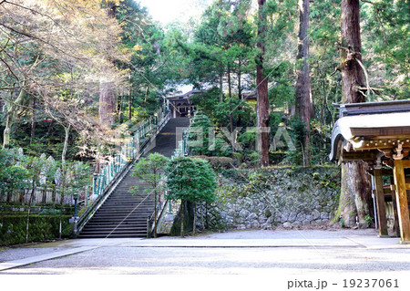 大雄山最乗寺 19237061