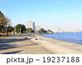 横浜の海辺 19237188