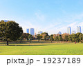 芝生 19237189