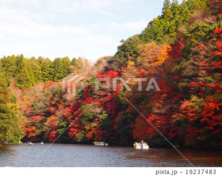 紅葉クルーズ 紅葉クルーズ 19237483