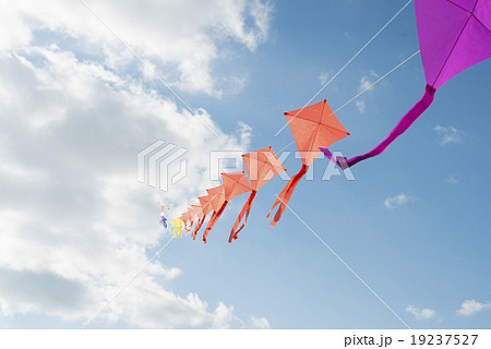 凧揚げ 19237527