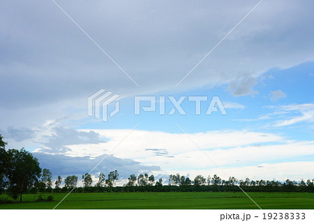 カンボジア プノンペン郊外 Cambodia カンボジア プノンペン郊外 Cambodia 19238333