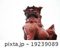 シーサー 19239089