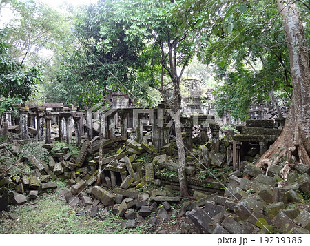 カンボジア ベンメリア遺跡 19239386