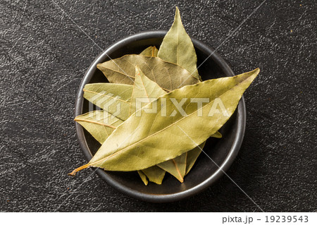 ローレル　月桂樹のはのスパイス　Leaf of the laurel 19239543