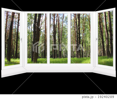 plastic windows overlooking the grove 19240289