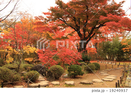 もみじ園 19240937
