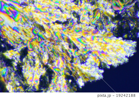 ビタミンCの結晶の偏光顕微鏡写真 19242188