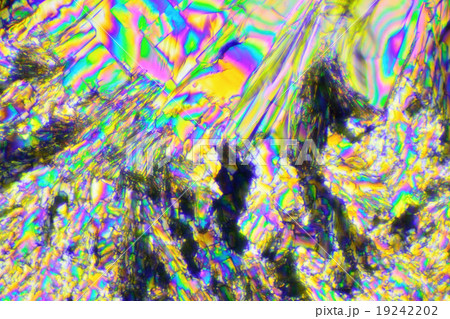 ビタミンCの結晶の偏光顕微鏡写真 19242202