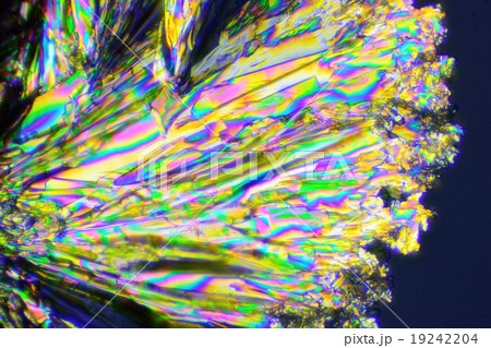 ビタミンCの結晶の偏光顕微鏡写真 19242204