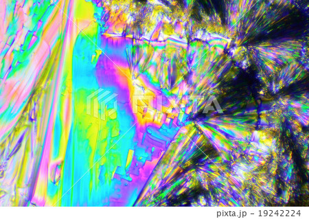 ビタミンCの結晶の偏光顕微鏡写真 19242224