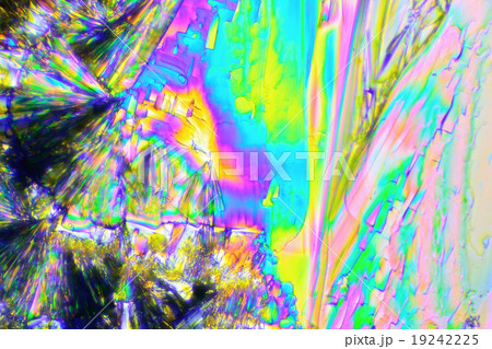 ビタミンCの結晶の偏光顕微鏡写真 19242225
