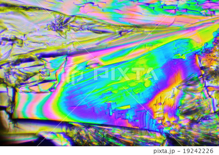 ビタミンCの結晶の偏光顕微鏡写真 19242226
