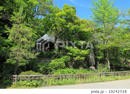 新緑の深大寺　元三大師堂 19242538