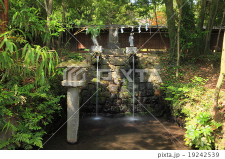 新緑の深大寺 滝 新緑の深大寺 滝 19242539