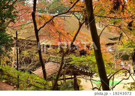 湖南三山・長寿寺 19243072