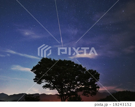 ペルセウスの流れ星 19243152