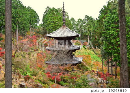 湖南三山・常楽寺 湖南三山・常楽寺 19243610