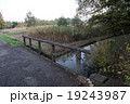 川 19243987