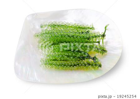 Sea grape seaweed , Healthy sea food in the dish 19245254