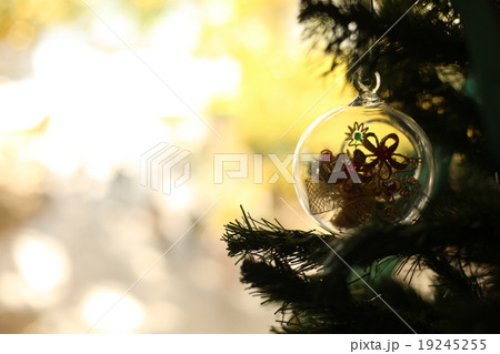 クリスマス 19245255