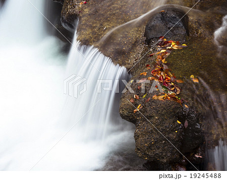Water fall with red leaf 19245488