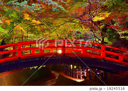 京都 北野天満宮ライトアップの写真素材