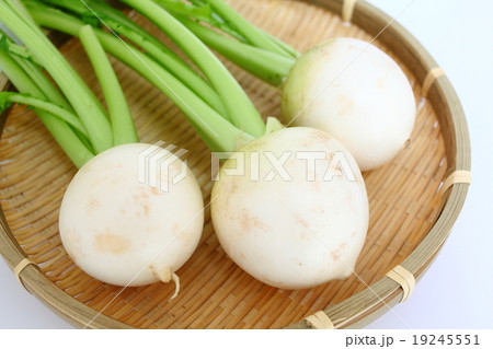 カブ カブ 19245551