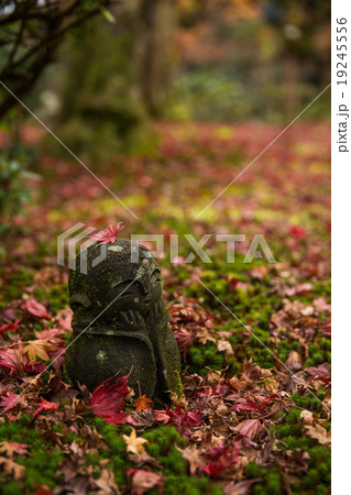 京都　圓光寺　十牛之庭のお地蔵様と紅葉　縦位置 19245556