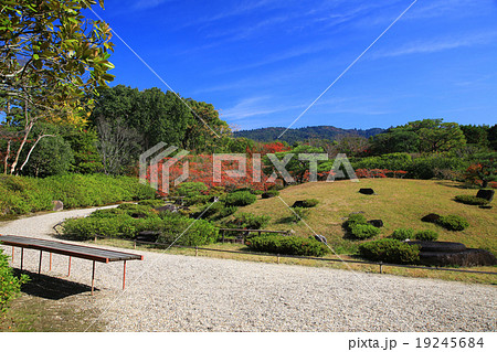 奈良公園　依水園　紅葉 19245684