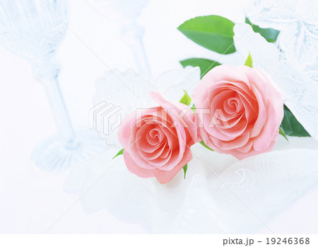 二輪の薔薇とワイングラス 19246368