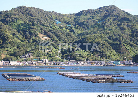 宇和島湾の鯛養殖いけすと背景の山 19246453