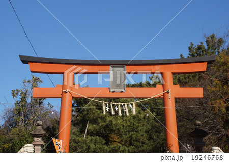 神社と鳥居 19246768