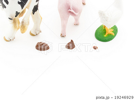 家畜のフン: feces of livestocks 家畜のフン: feces of livestocks 19246929