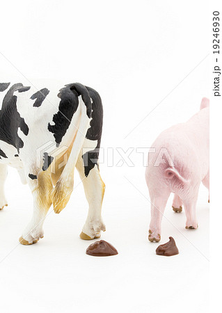家畜のフン: feces of livestocks 家畜のフン: feces of livestocks 19246930