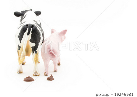 家畜のフン: feces of livestocks 19246931